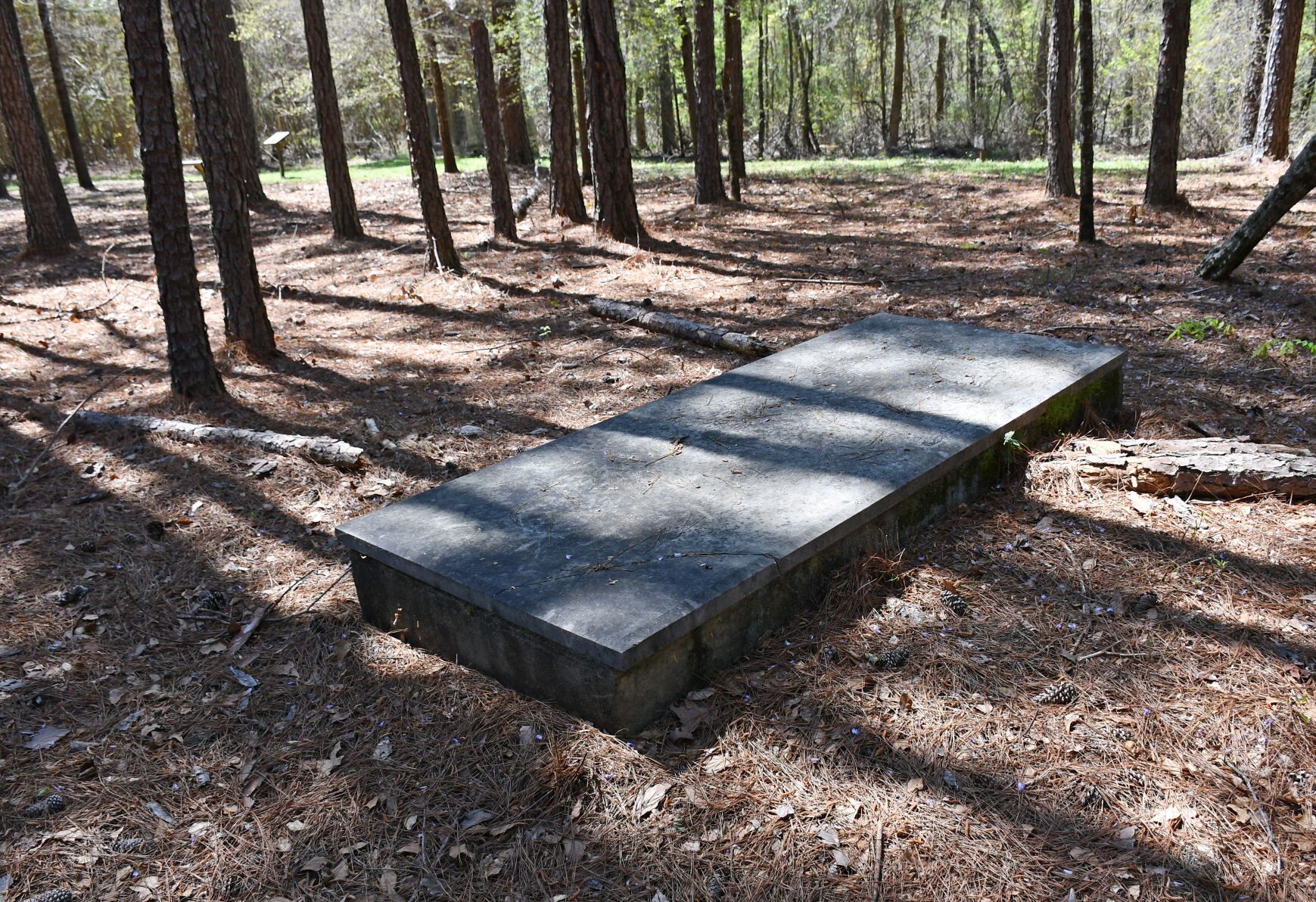 Benson's grave